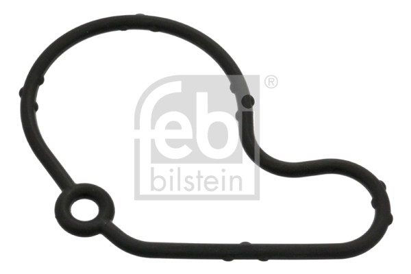 Gasket, vacuum pump